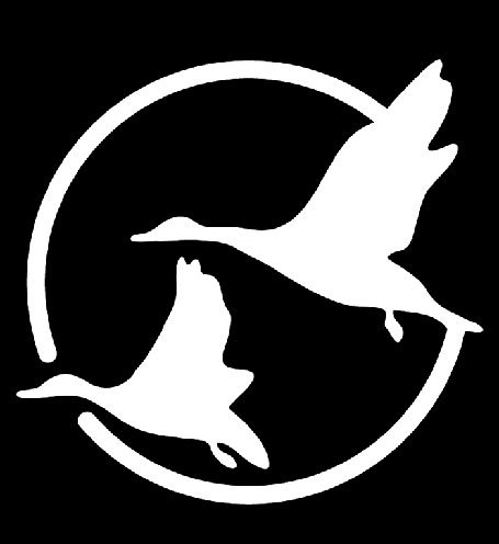 Birds in Flight 6 x 8 Decal - Die Cutz Decals Chroma Graphics 3656