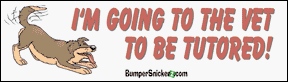 I'm going to vet to be tutored - funny bumper stickers (Medium 10x2.8 in.) Bumper Stickers BumperSnickerz PET10013_M.pdf