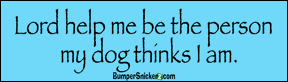 Bumper Stickers BumperSnickerz SCH10059_M.pdf