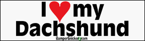Bumper Stickers BumperSnickerz PET10024_M.pdf