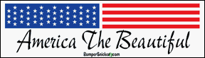 Bumper Stickers BumperSnickerz PAT10001_M.pdf