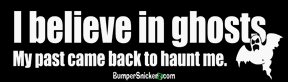 Bumper Stickers BumperSnickerz SCH10002_M.pdf