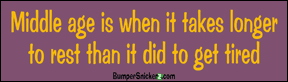 Bumper Stickers BumperSnickerz SCH10047_M.pdf