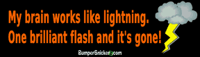 My brain is like lightning. One brilliant flash and it's gone! - funny bumper stickers (Medium 10x2.8 in.) Bumper Stickers BumperSnickerz SCH10085_M.pdf