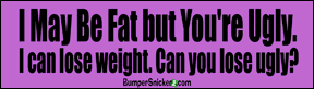 Bumper Stickers BumperSnickerz IYF10030_M.pdf