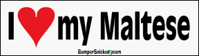 Bumper Stickers BumperSnickerz PET10028_L.pdf