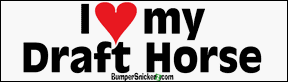 I Love My Draft Horse - bumper stickers (Large 14x4 inches) Bumper Stickers BumperSnickerz PET10003_L.pdf