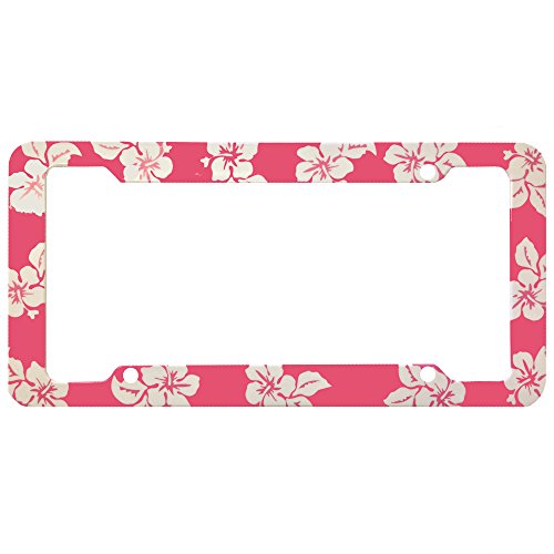 Frames LA Auto Gear F2091