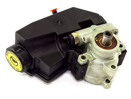 Pumps Omix-Ada 1800810