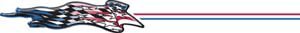 American Racer vinyl pinstriping Decals UP 08623