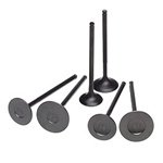 Skunk2 Racing Tuner Series Forged Valve Set Honda/Acura B16A-B / B17A / B18C1-5 1.6L-1.8L DOHC VTEC Stock Size / High Comp Forged Skunk2 Racing 310-05-2320