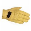 Complete Systems Alpinestars 350258102XL