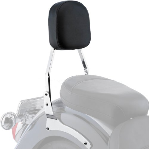 Sissy Bars Cobra 02-5463