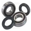 Bearings Moose Racing 25-1032