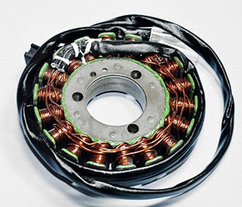 Stators & Winding Rick's Motorsport Electrics 21-303