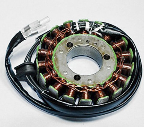 Stators & Winding Rick's Motorsport Electrics 21-304