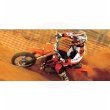 Parts Pirelli 1665500