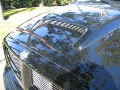 Hood Scoops T-Rex 600191