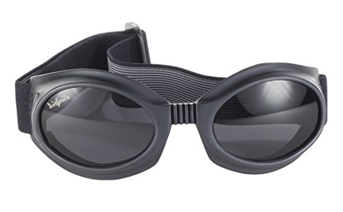 Goggles Pacific Coast 7600