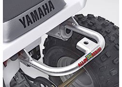 Sissy Bars DG Performance 59-4212