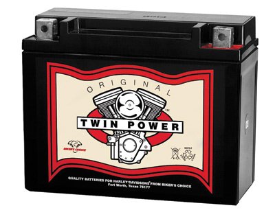 Batteries Twin Power 49-9076