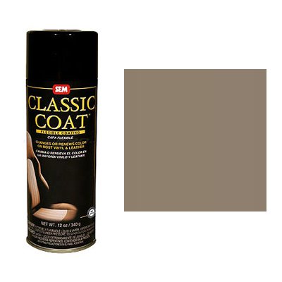 Spray Paint Sem Products 17133