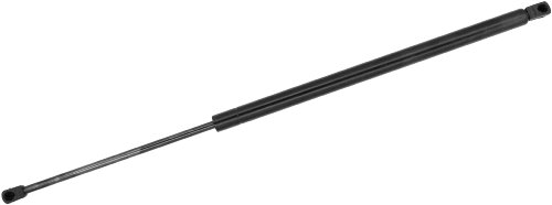 Lift Supports Monroe 901379