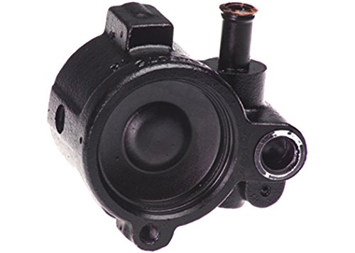 Pumps ACDelco 36-516309