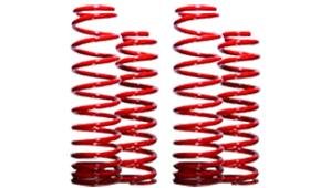 B&G Springs Lowering Kit for 1991 - 1996 Ford Escort Lowering Kits B&G Springs B22501013_157913