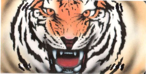 Airbrushed License Plates - Tiger License Plate- #121 Frames Airbrushed License Plates 121