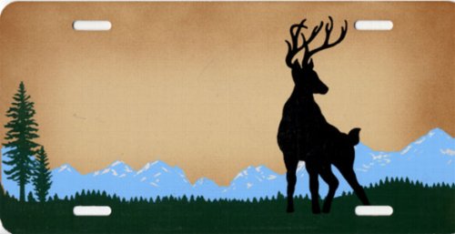 Frames Airbrushed License Plates 672