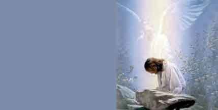 Frames Airbrushed License Plates 1155