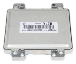 Relay Control Module ACDelco 12600930