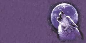 Frames Airbrushed License Plates 1567