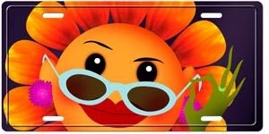 Frames Coolart License Plates fun10