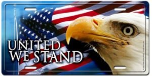 Frames Coolart License Plates usa02