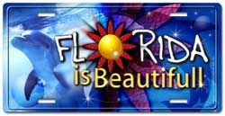 Frames Coolart License Plates flor004