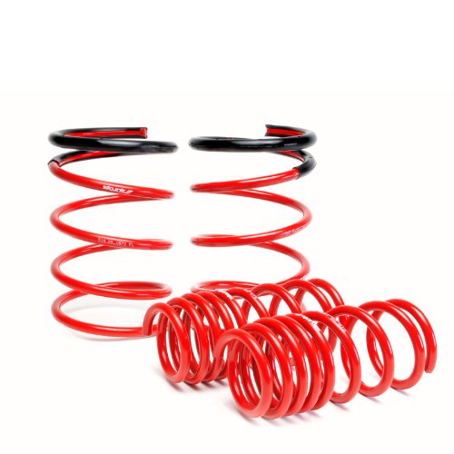 Coil Springs Skunk2 Racing 519-05-1672
