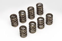 Categories Skunk2 Racing 