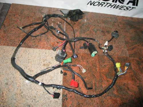 Wiring Harnesses RPM Cycle S0352031