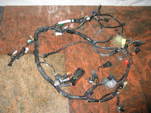 Wiring Harnesses RPM Cycle LEX0014