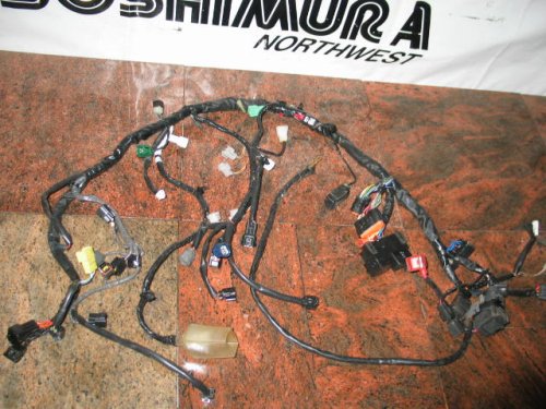 Wiring Harnesses RPM Cycle LEX0021