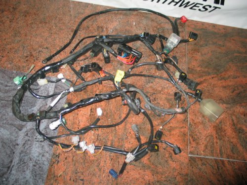 Wiring Harnesses RPM Cycle S3530026