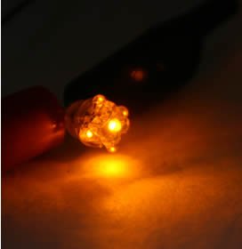 Bulbs Led WLED5A-33259-113920