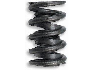 Lunati 74620-1 Spring Kit - 74620Lun 75513 77103 Springs Lunati 746201