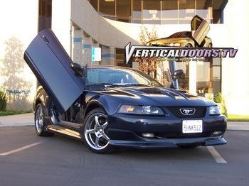 Doors Vertical Doors VD9904FORMUST