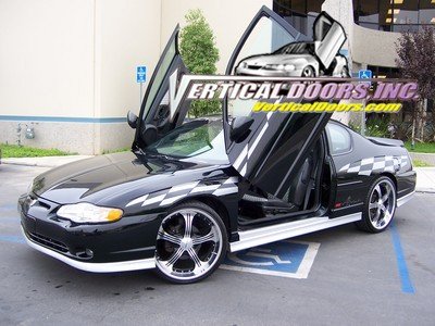 Doors Vertical Doors VD0005CHEVMON