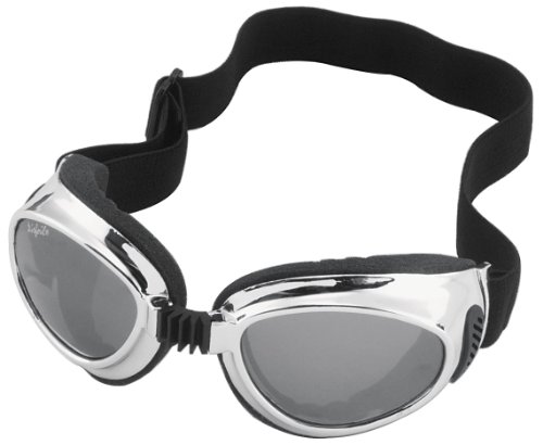 Goggles Pacific Coast Sunglasses 