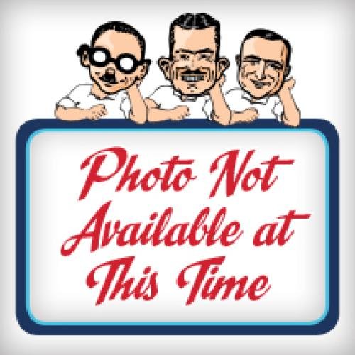 Type S SC02659-4 Deluxe Seat Cushion Accessories Winplus SC026594