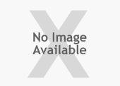 Individual Sockets Lisle 33860